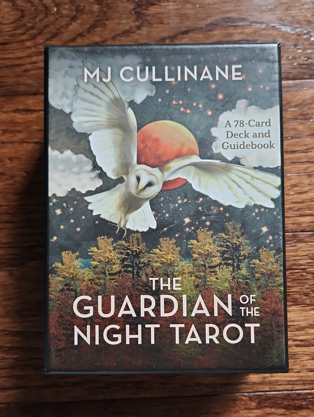 The Guardian Of The Night Tarot Decl
